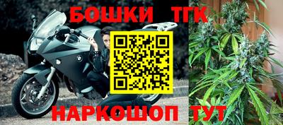 PSILOCYBIN Северобайкальск
