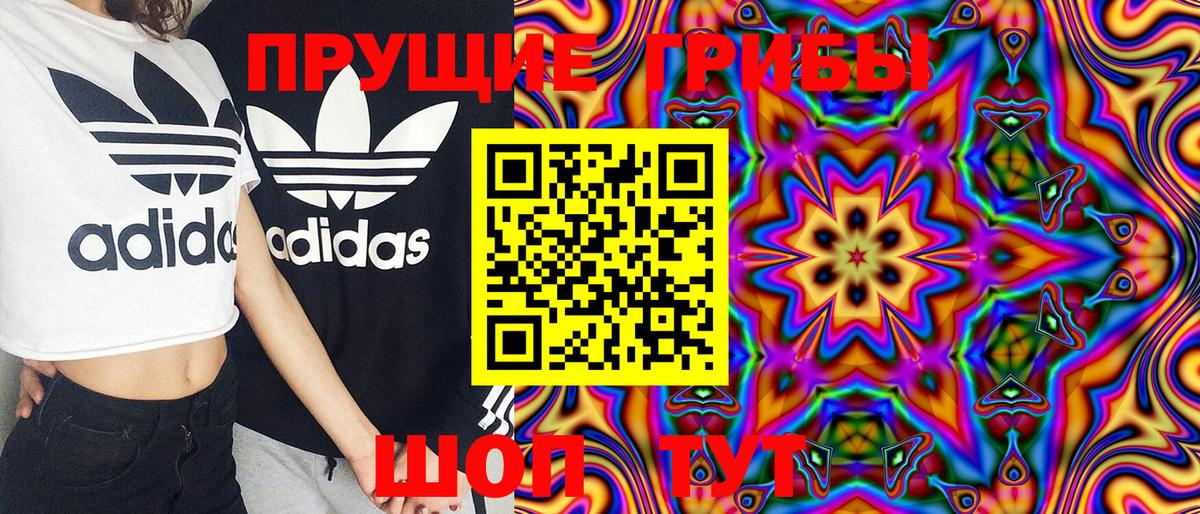 Псилоцибиновые грибы мицелий Мытищи