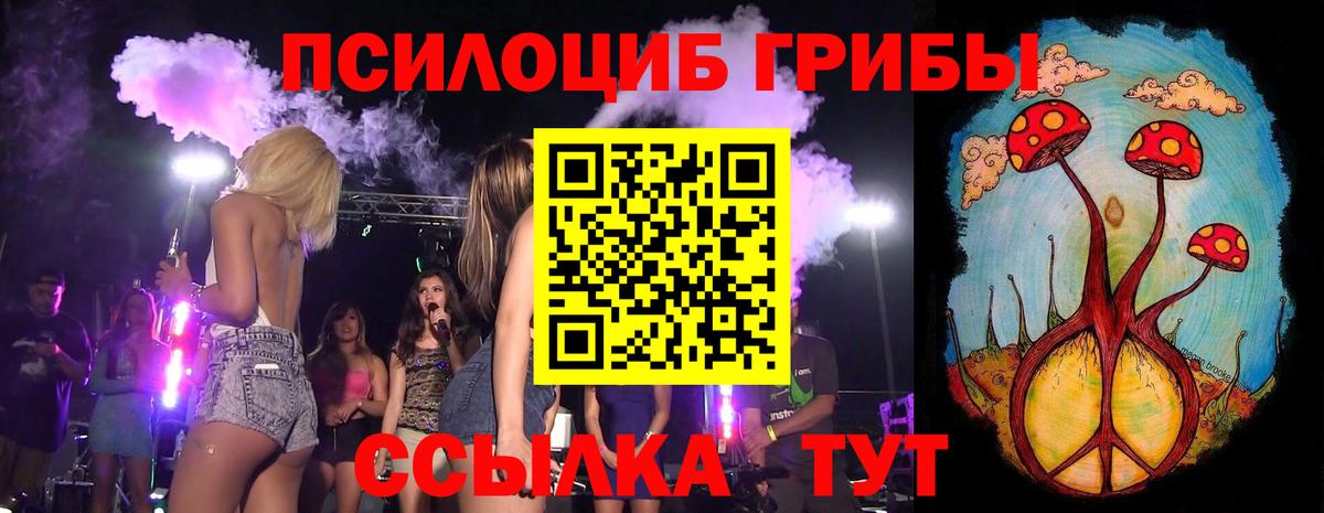 Мытищи  Галлюциногенные грибы Cubensis  Вход с VPN  Галлюциногенные грибы ЛСД 